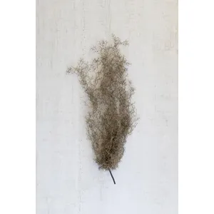 Artificial Grey Moss 1
