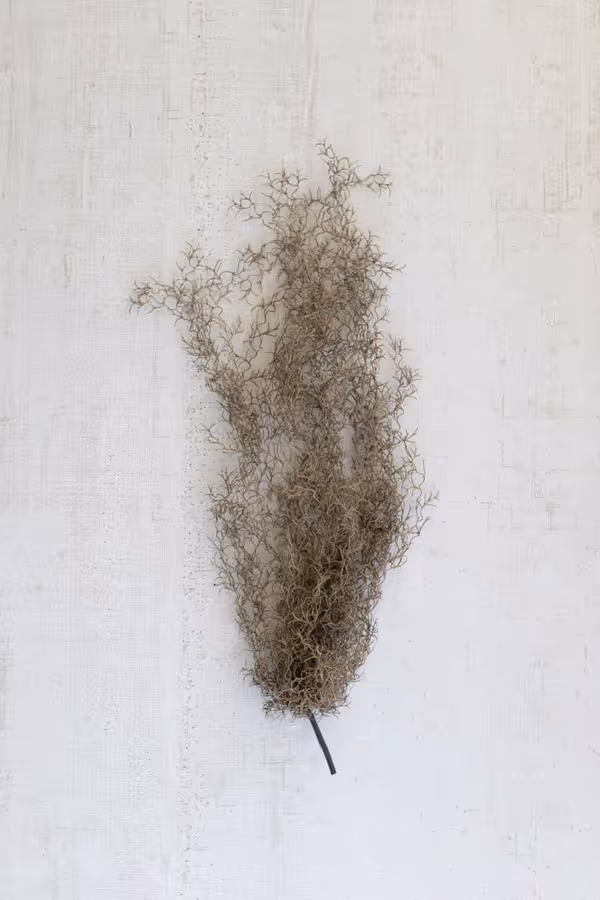 Artificial Grey Moss