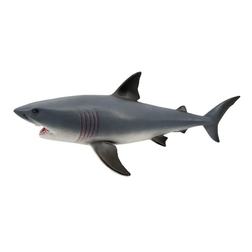 15" SHARK