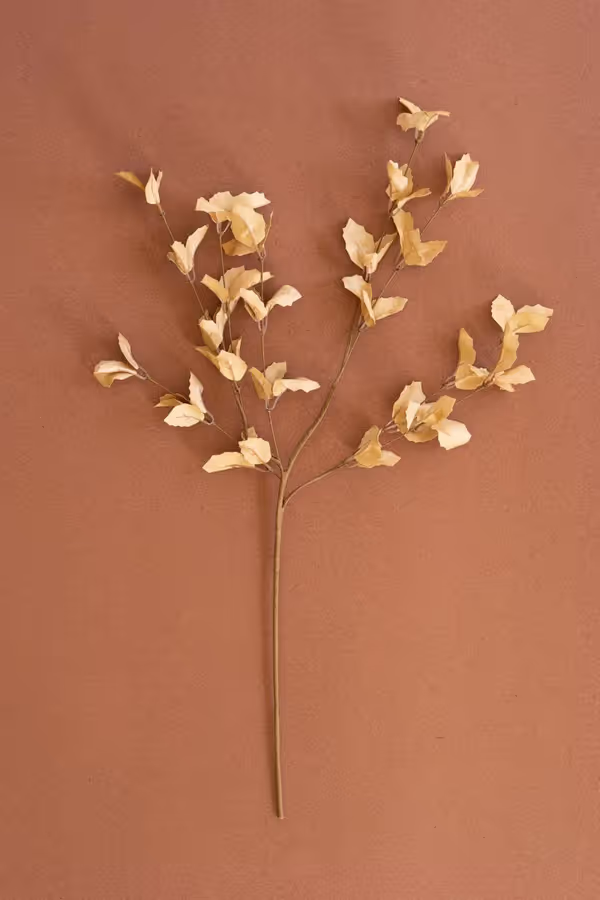 botanica #9038