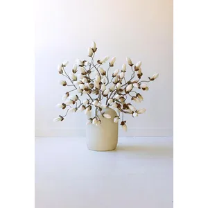 Botanica #2716 2