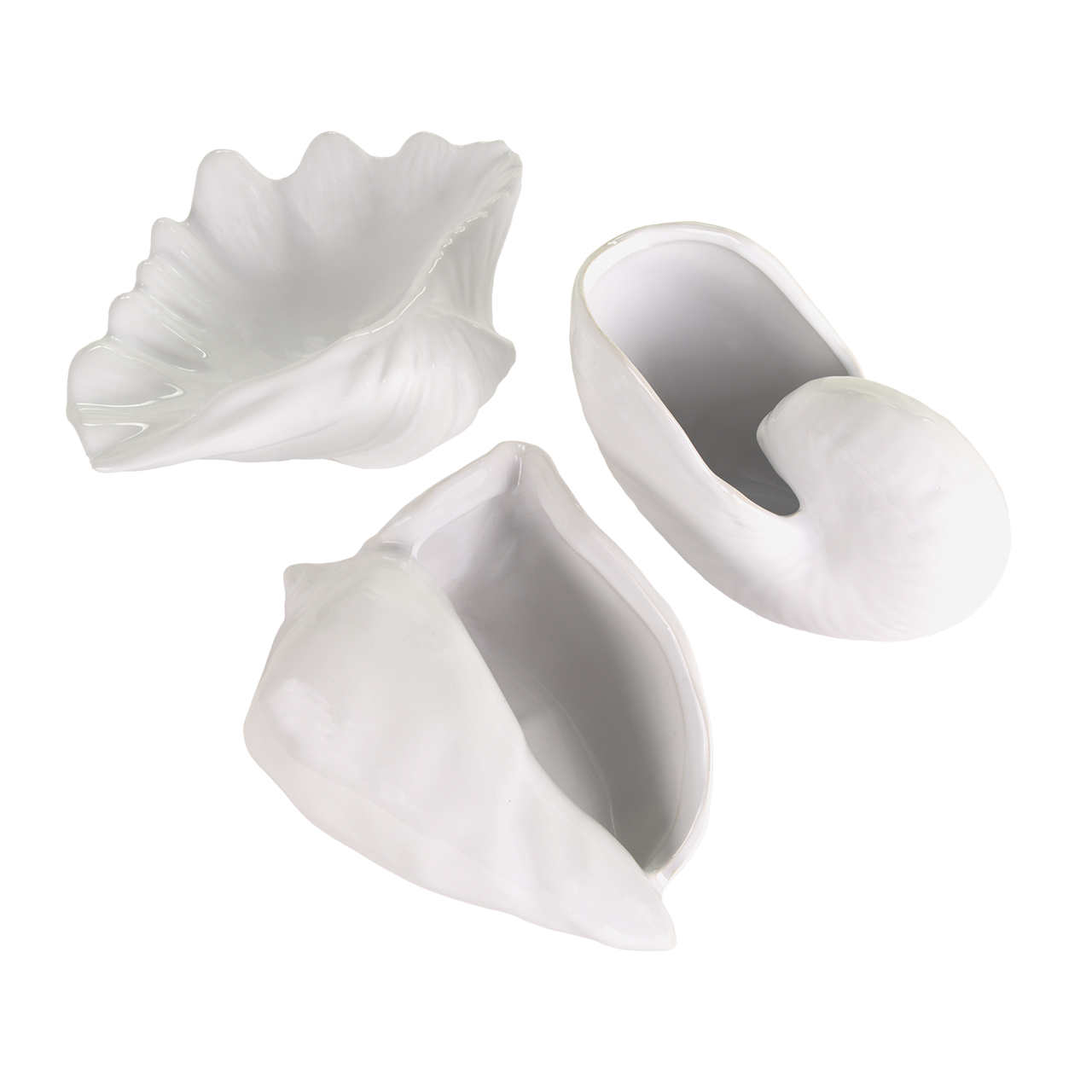 Missouri Shells -Ea 4