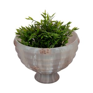 COHENPORT IVORY BOWL 7 (IN) 3