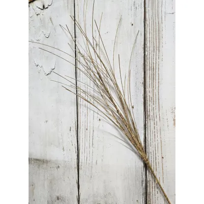 Twiggy Grass Pick
