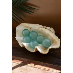 Giant Resin Clam Shell 3