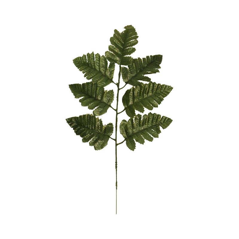 Leather Leaf Spray