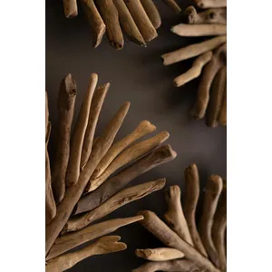 Set of 2 Framed Driftwood Leaves 5