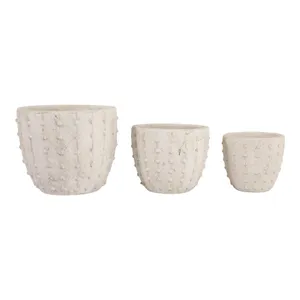 EDGEGATE SET OF 3 IVORY PLANTER 8 (IN) 1
