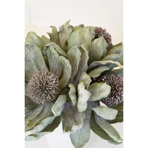 Botanica #3689 4