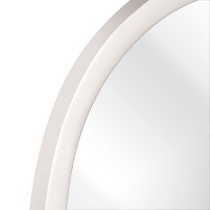 Flex Mirror - Small 4
