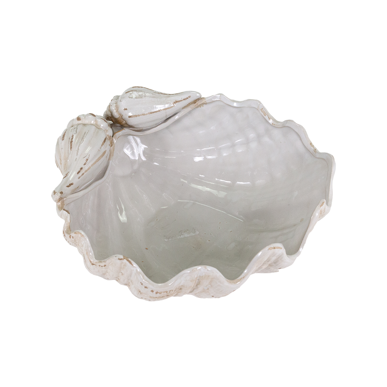 Giant Clamshell Bowl 6