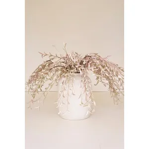 Botanica #2502 2