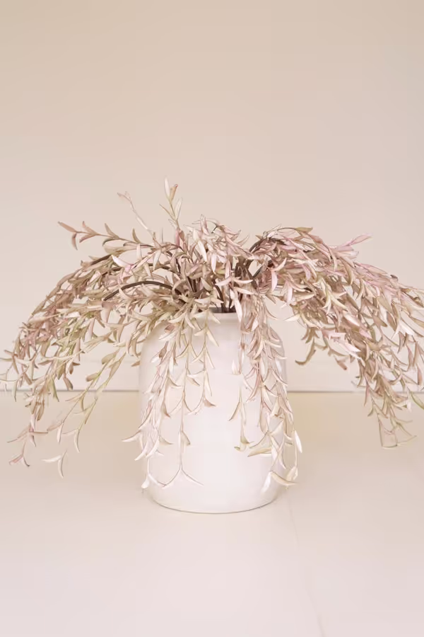 Botanica #2502