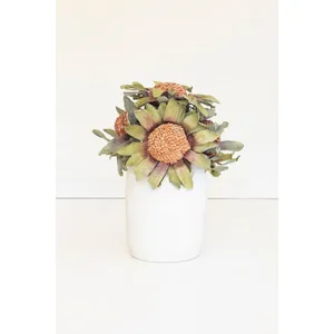 Botanica #2885 2