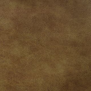 Evolution Dude Ranch Leather - By the Hide