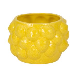 CALWIND YELLOW PLANTER 5 (IN) 4