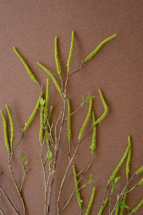 Artificial Green Willow Flowers Spray