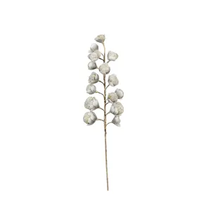 Botanica #2297 1