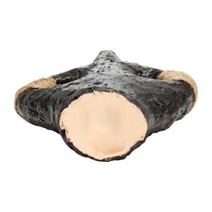 VALEBEACH BLACK VASE 14 (IN) 7