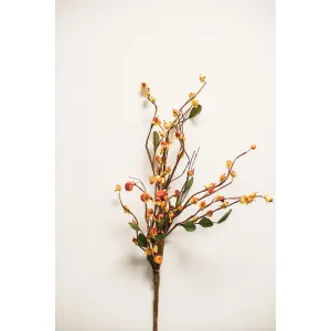 Bittersweet and Vines 28in Pick 1