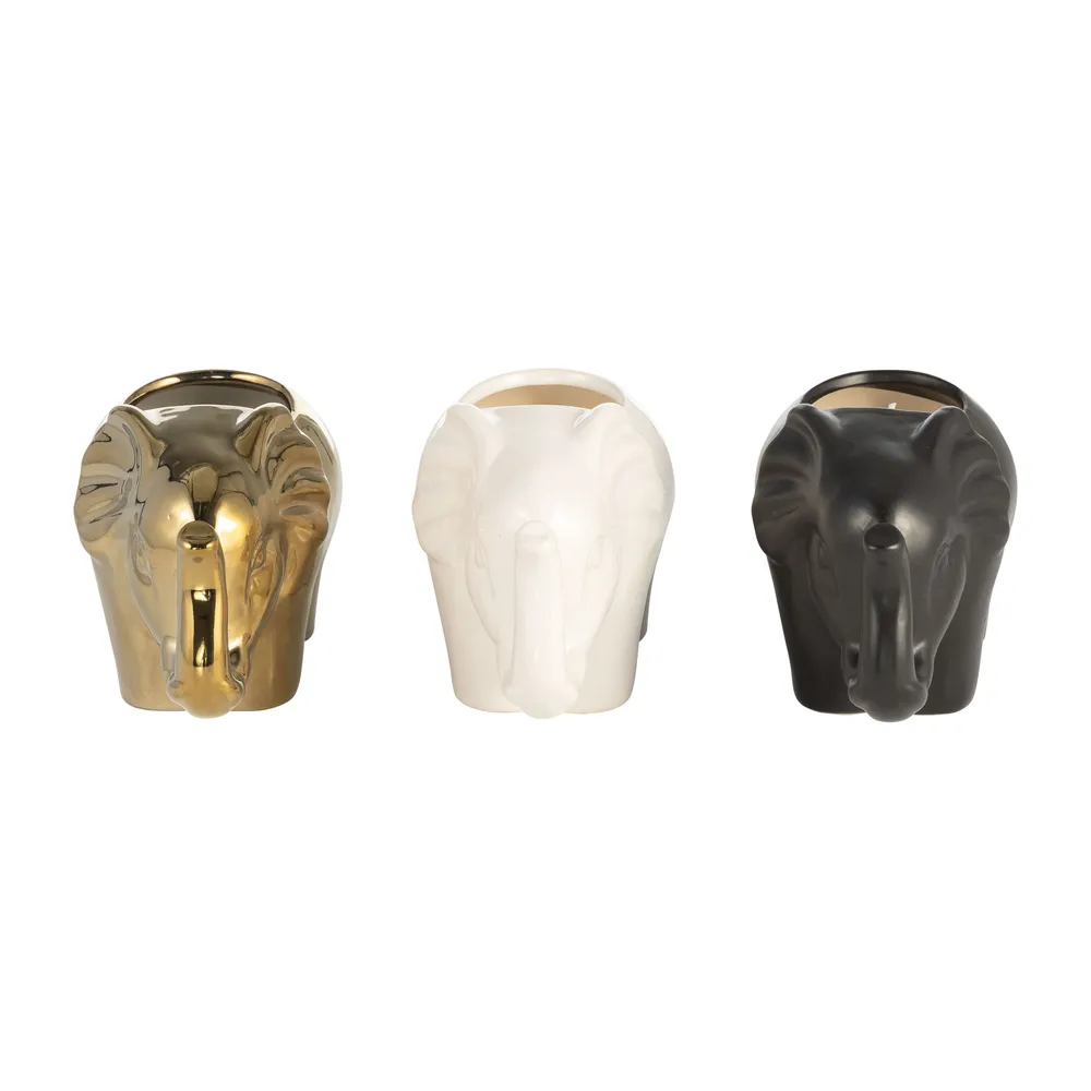 ARNETTCLIFF SET OF 3 PLUMERIA CANDLE 5 (IN)