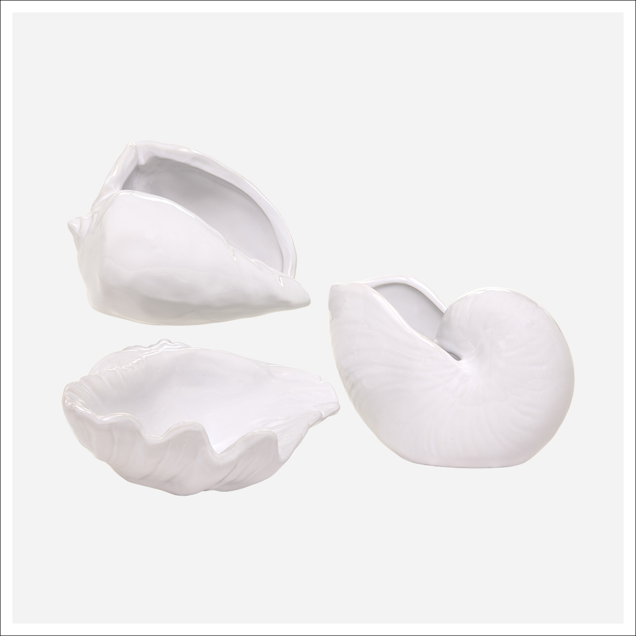 Missouri Shells -Ea