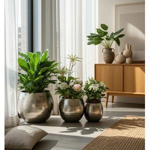 GLOVERTON SET OF 3 SILVER PLANTER 11 (IN) 12
