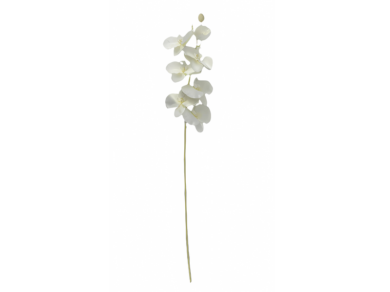 31IN/80CM PHALAENOPSIS SPRAY 2
