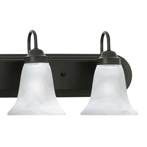 Homestead 48'' Wide 6-Light Vanity Light - Painted Bronze 2