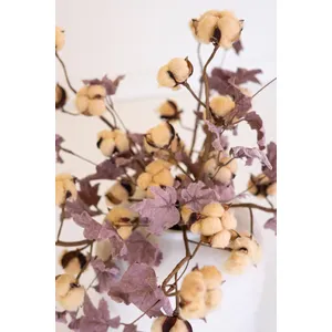 botanica #9027 3