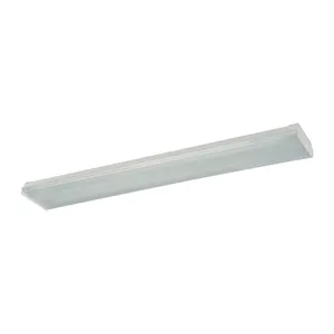 Fluor 2-Light Ceiling Lamp in Clear 1