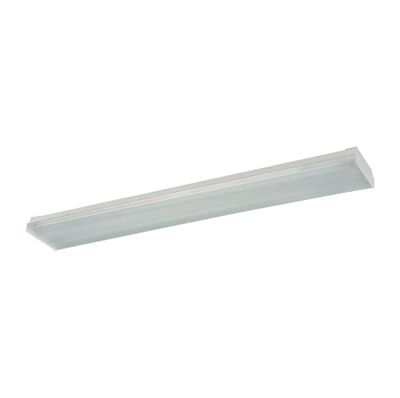 Fluor 2-Light Ceiling Lamp in Clear