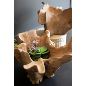 Blooming Hand-Carved Teak Root Bowl 2