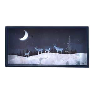 Moonlit Night