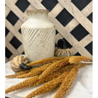 Gold Flocked Foxtail
