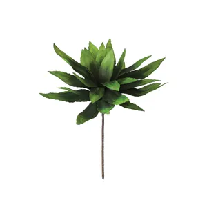 Botanica #294 1