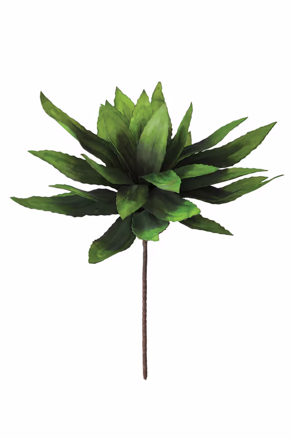 Botanica #294