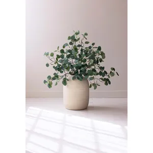 Botanica #3508 2