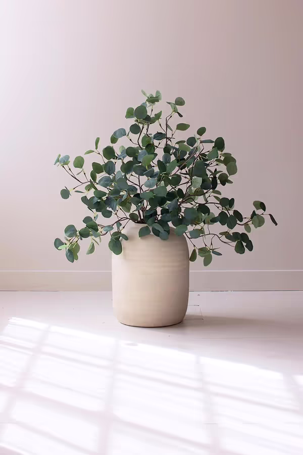 Botanica #3508