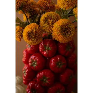 Ceramic Tomatoes Vase 2