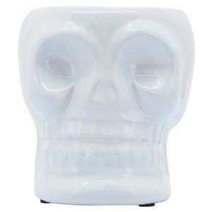 LINDENCLIFF WHITE VASE 5 (IN) 1