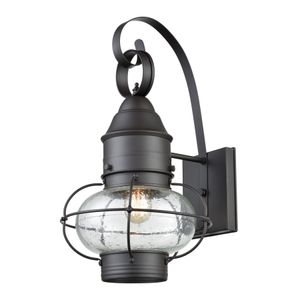 Onion 18'' High 1-Light Outdoor Sconce - Oil Rubbed Bronze 1