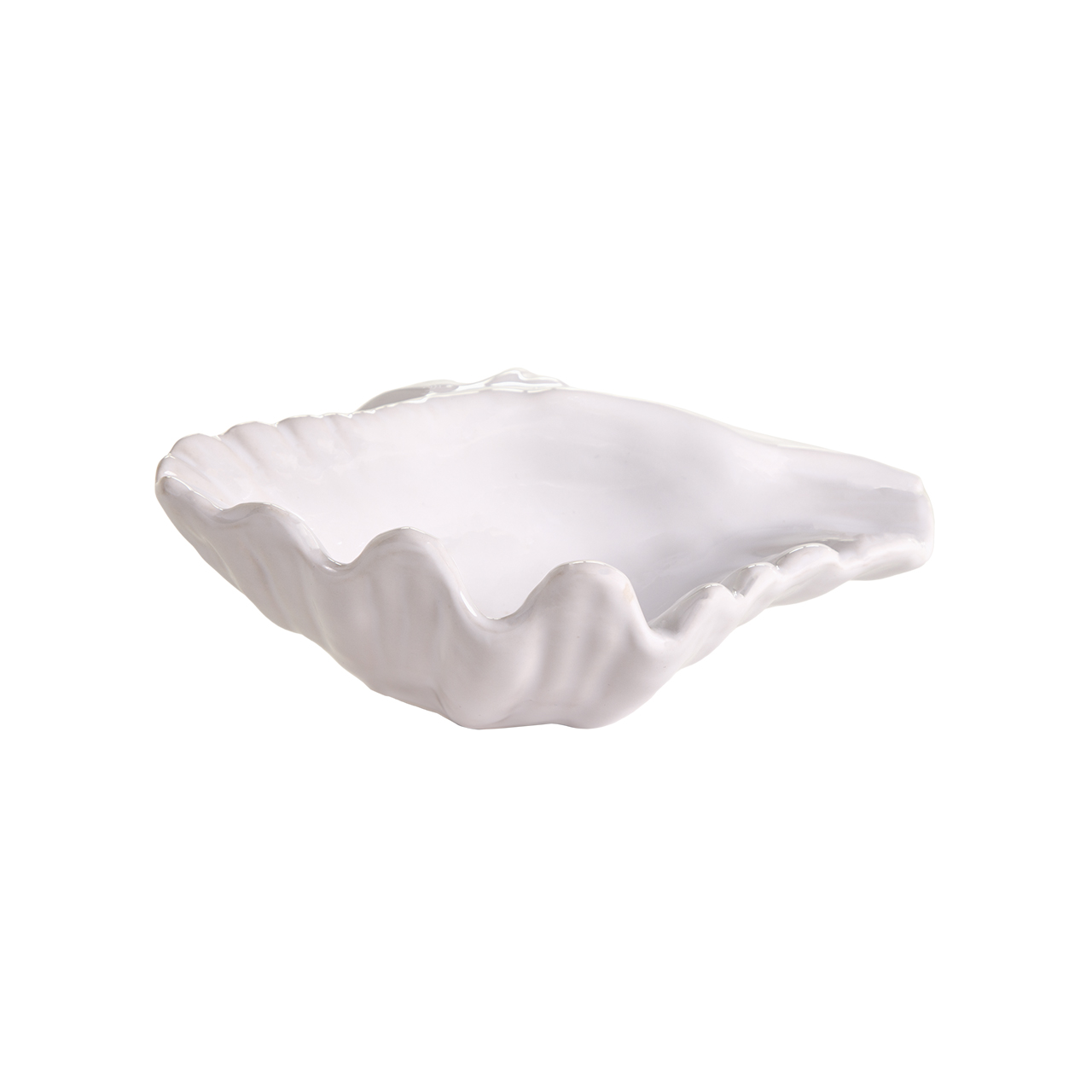 Missouri Shells -Ea 5