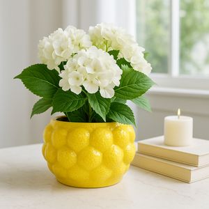 CALWIND YELLOW PLANTER 5 (IN) 10