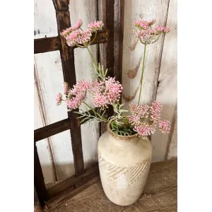 Pink Queen Anne's Lace 2