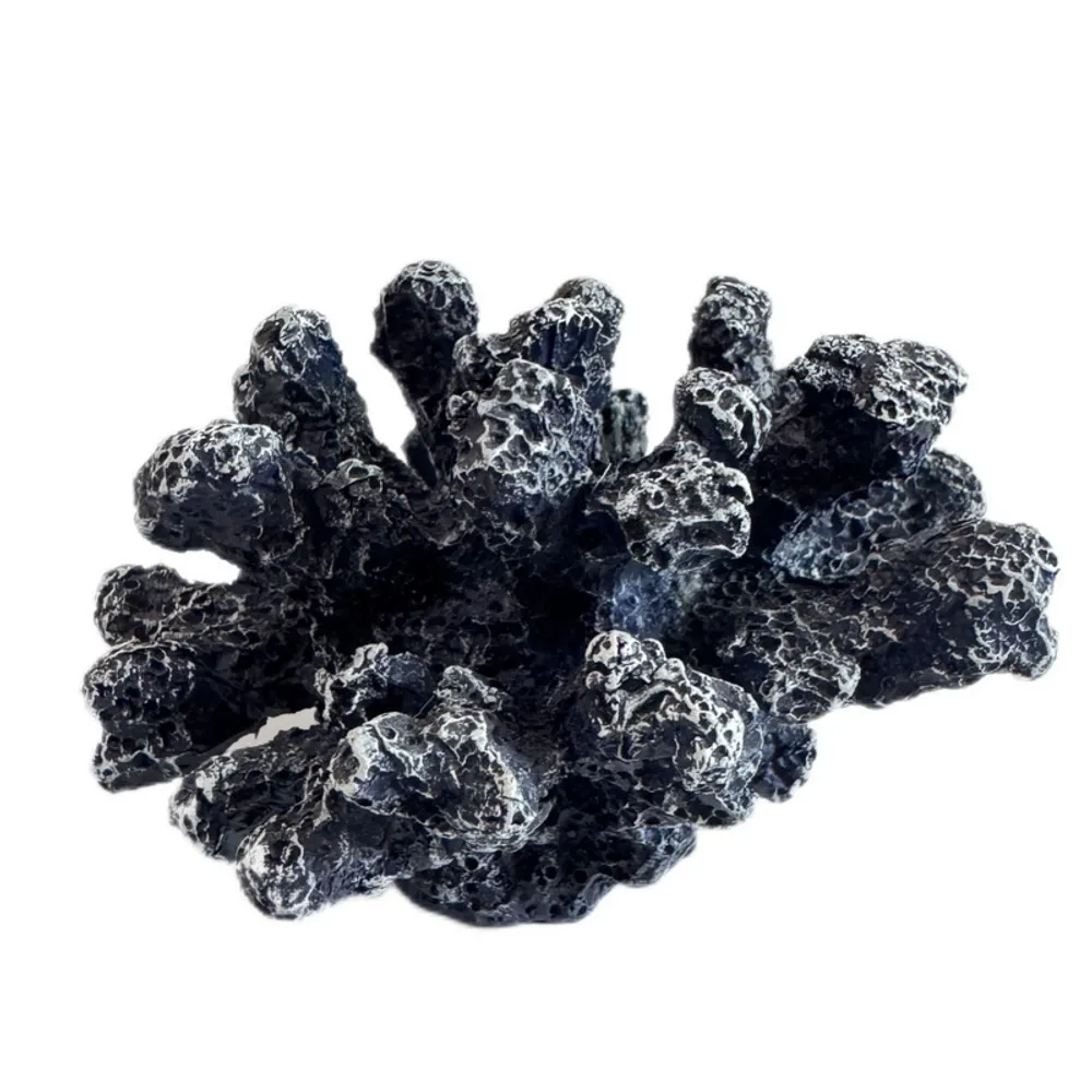 4-1/2" CORAL