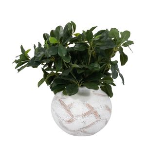 OLIVERWORTH WHITE VASE 7 (IN) 4