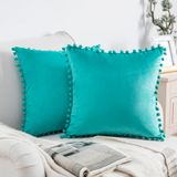 Tassels Reversible Throw Pillow 1