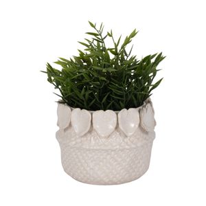 FALLONRUN IVORY PLANTER 5 (IN) 3