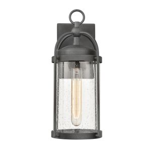 Catalonia 13.5'' High 1-Light Outdoor Sconce - Distressed Zinc 1